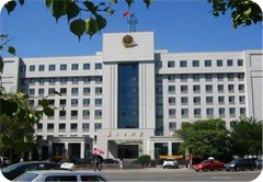 政府機構(gòu)